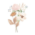 Image Not Available